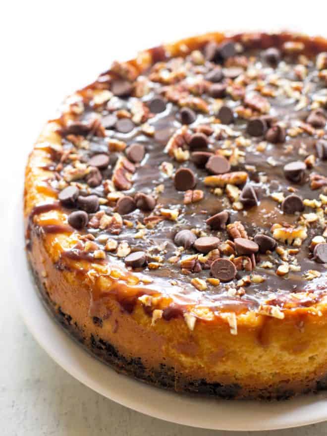 Turtle Cheesecake