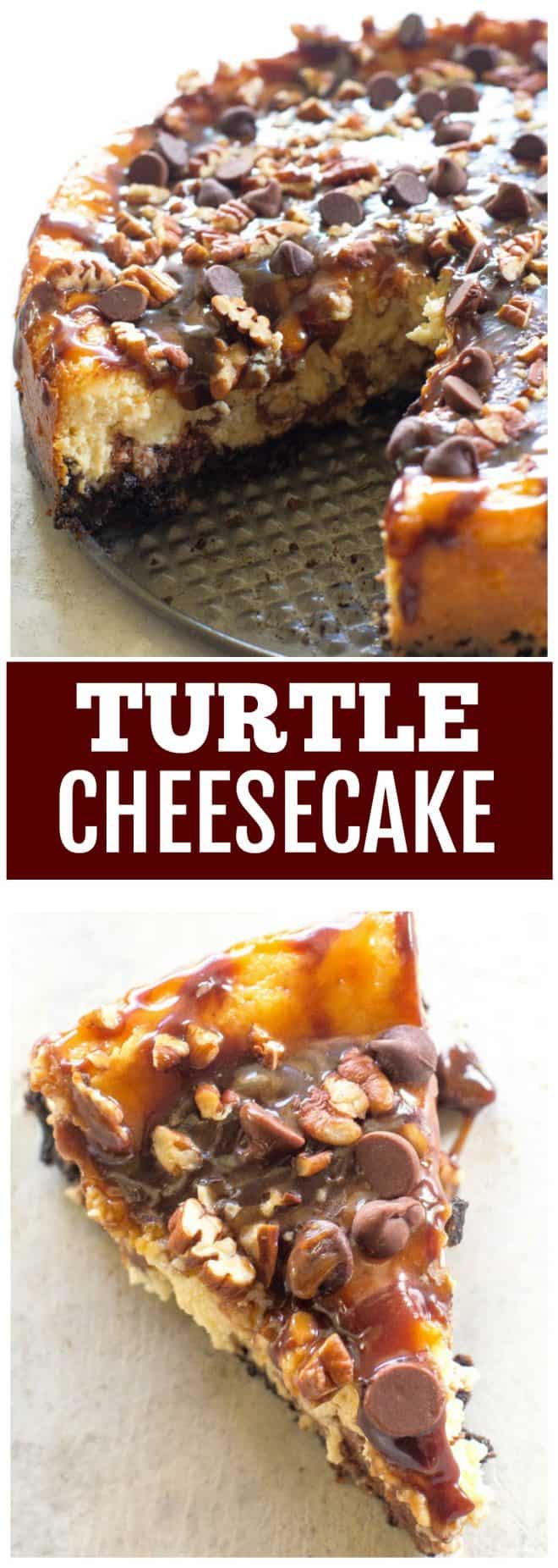 Turtle Cheesecake