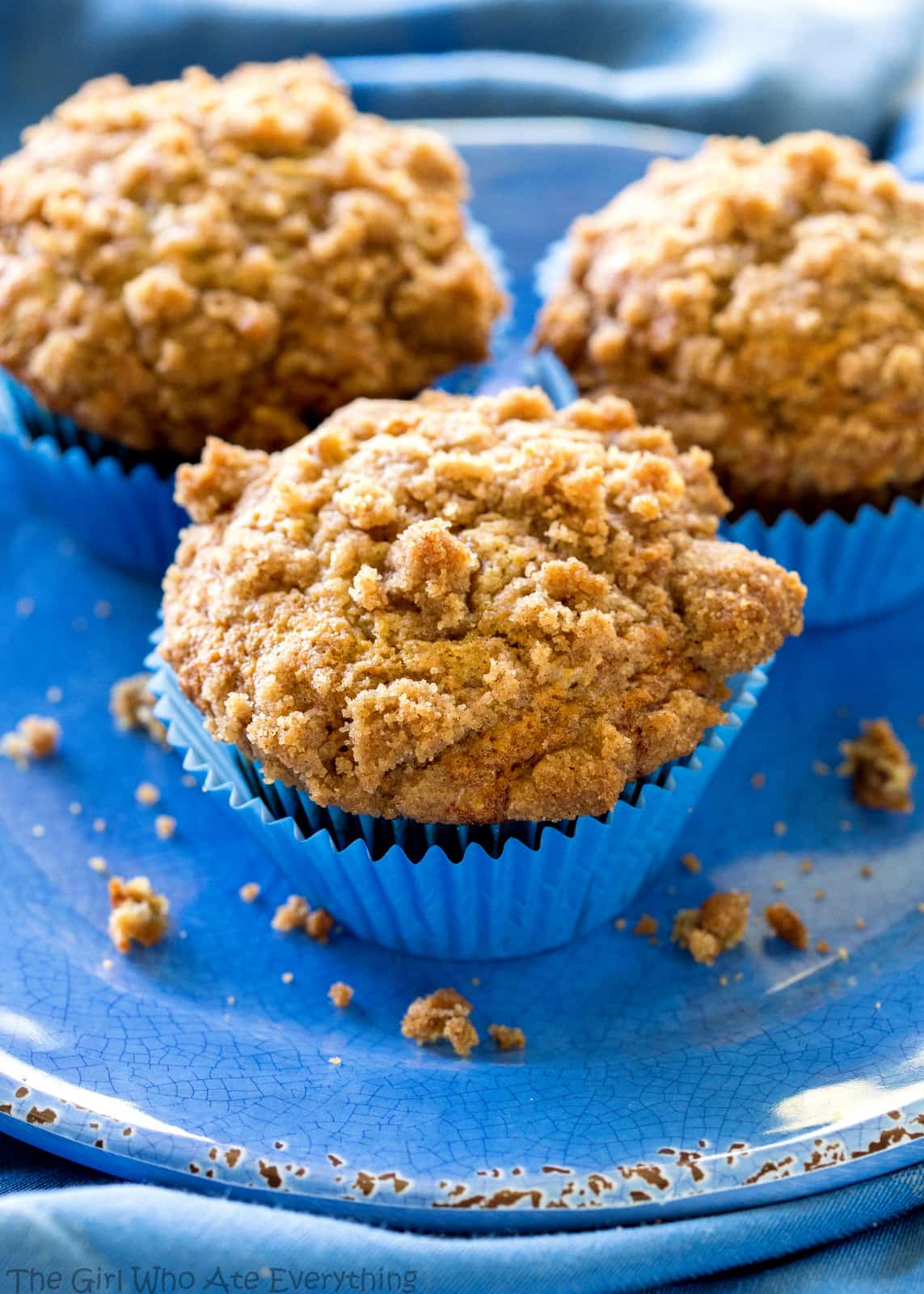 Banana Crumb Muffins - Moist banana muffins with a little cinnamon and nutmeg and topped with tons and tons of crumb topping. the-girl-who-ate-everything.com