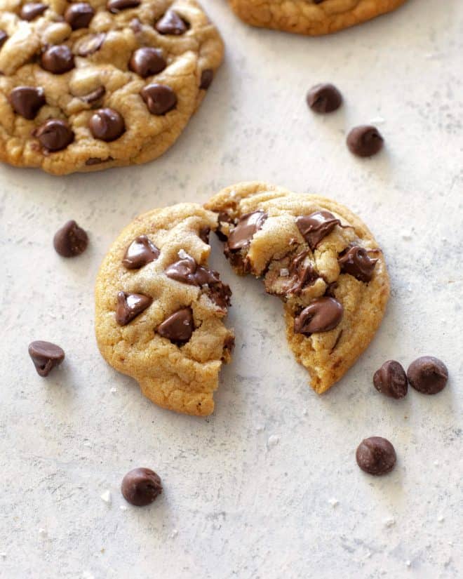 chocolate chip cookie