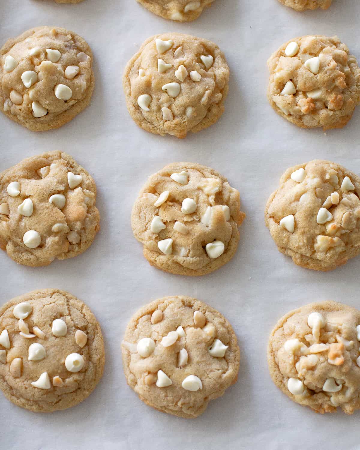 white chocolate macadamia nut cookies