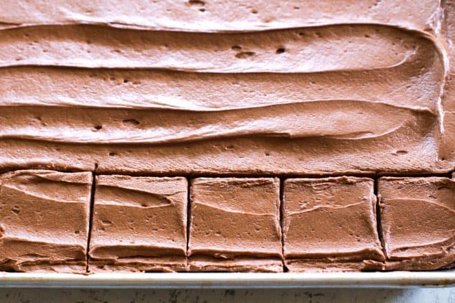 Homemade brownies in a pan