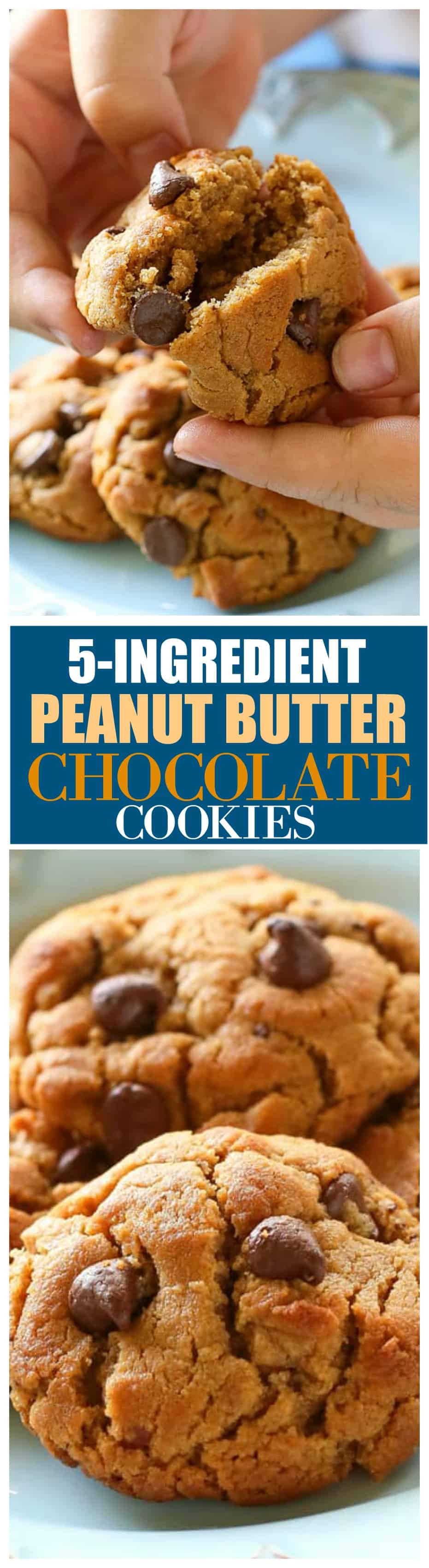 Flourless 5- Ingredient Peanut Butter Chocolate Chip Cookies - only a few ingredients and gluten free! #glutenfree #peanutbutter #cookies #flourless #dessert