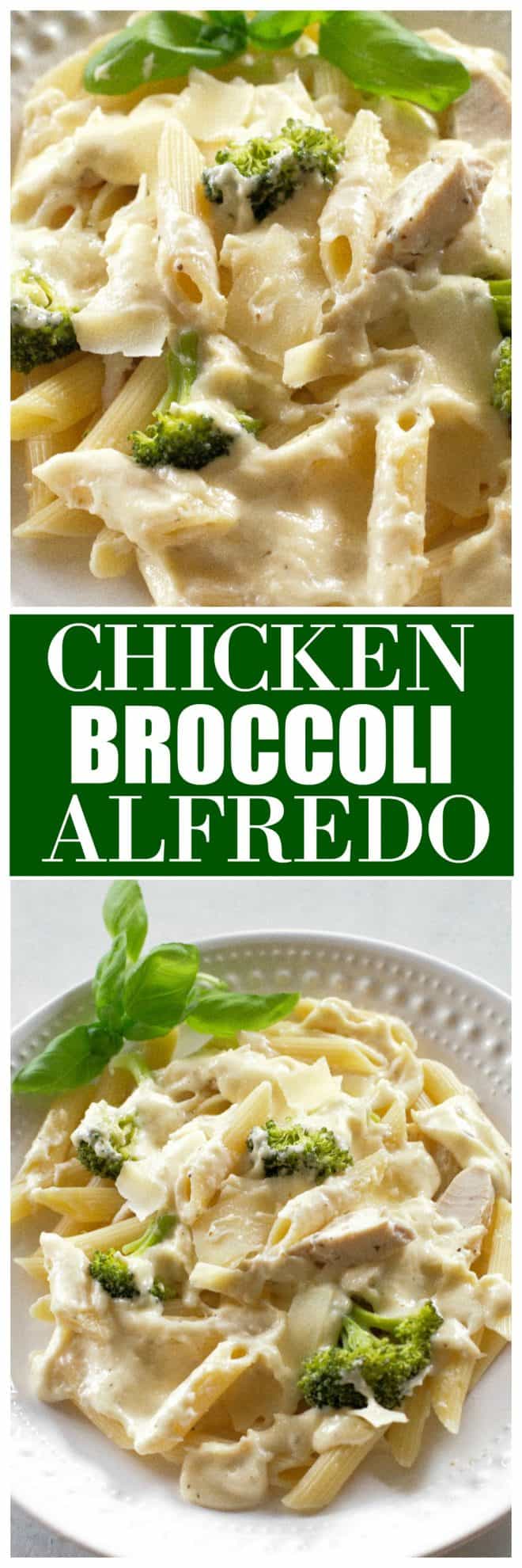 Chicken Broccoli Alfredo