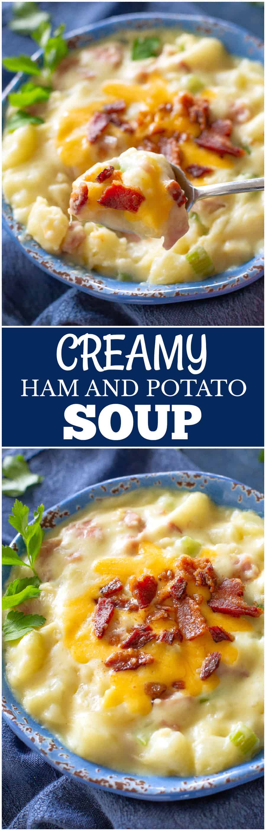 Ham and Potato Soup