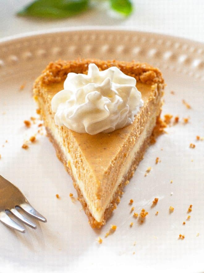Double Layer Pumpkin Cheesecake