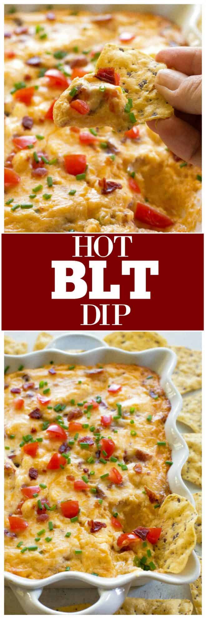 Hot BLT Dip