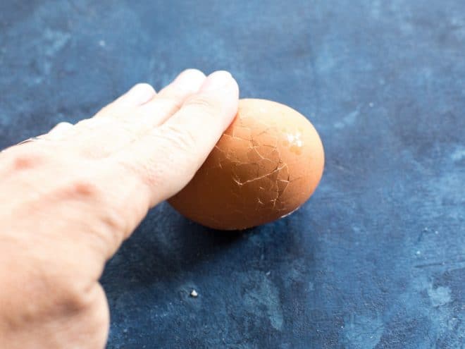 rolled eggshell