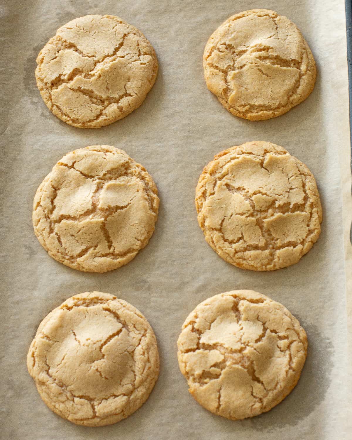 apple cider cookies