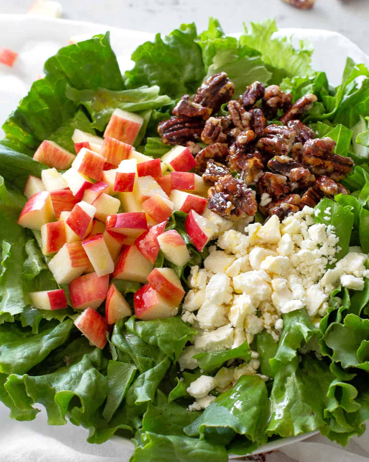 Pecan and Apple Salad is my go-to salad for potlucks. Candied pecans, fresh apples, and cheese make this salad unique and full of flavor! #apple #pecan #salad