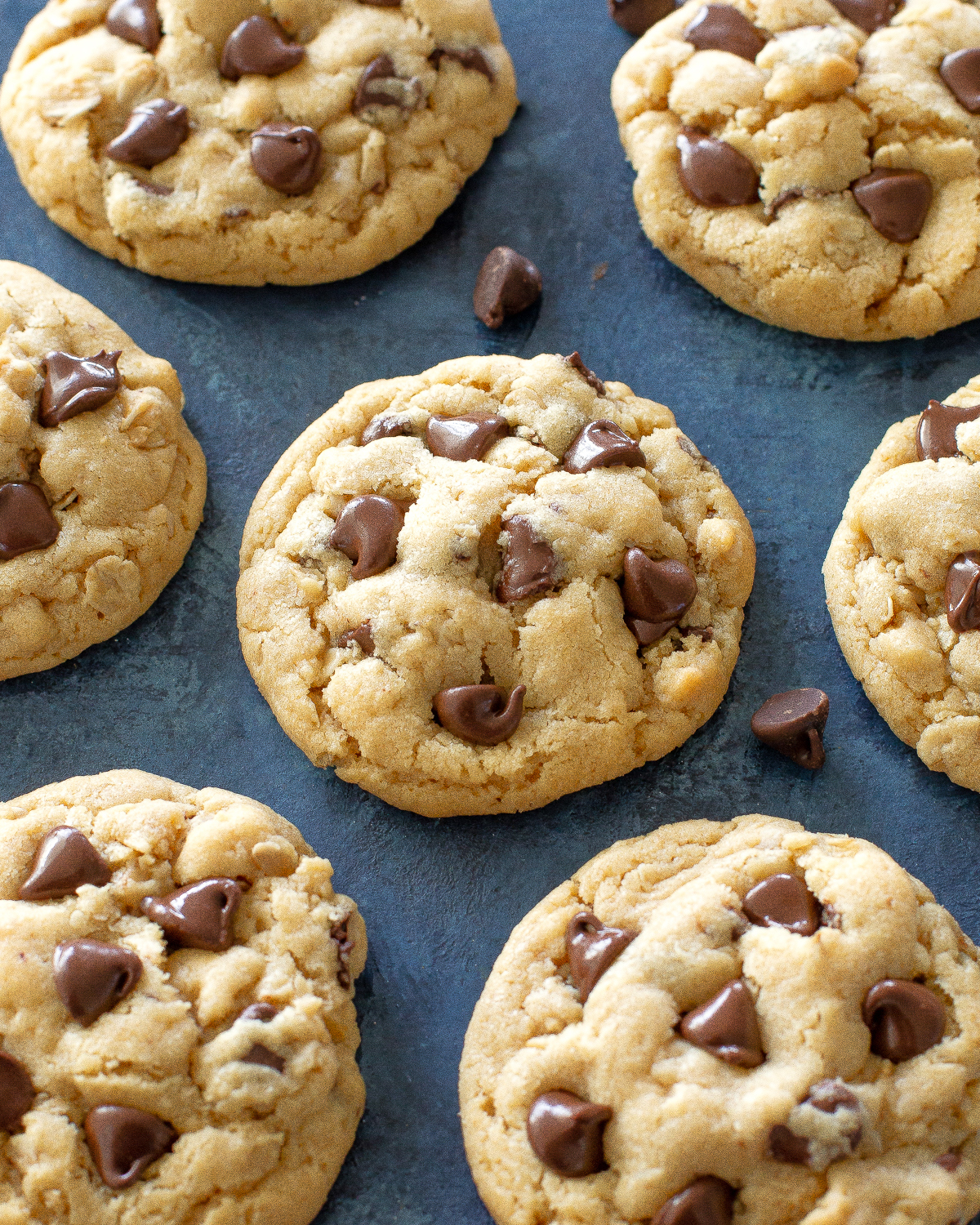 Chocolate Oatmeal Peanut Butter Cookies 