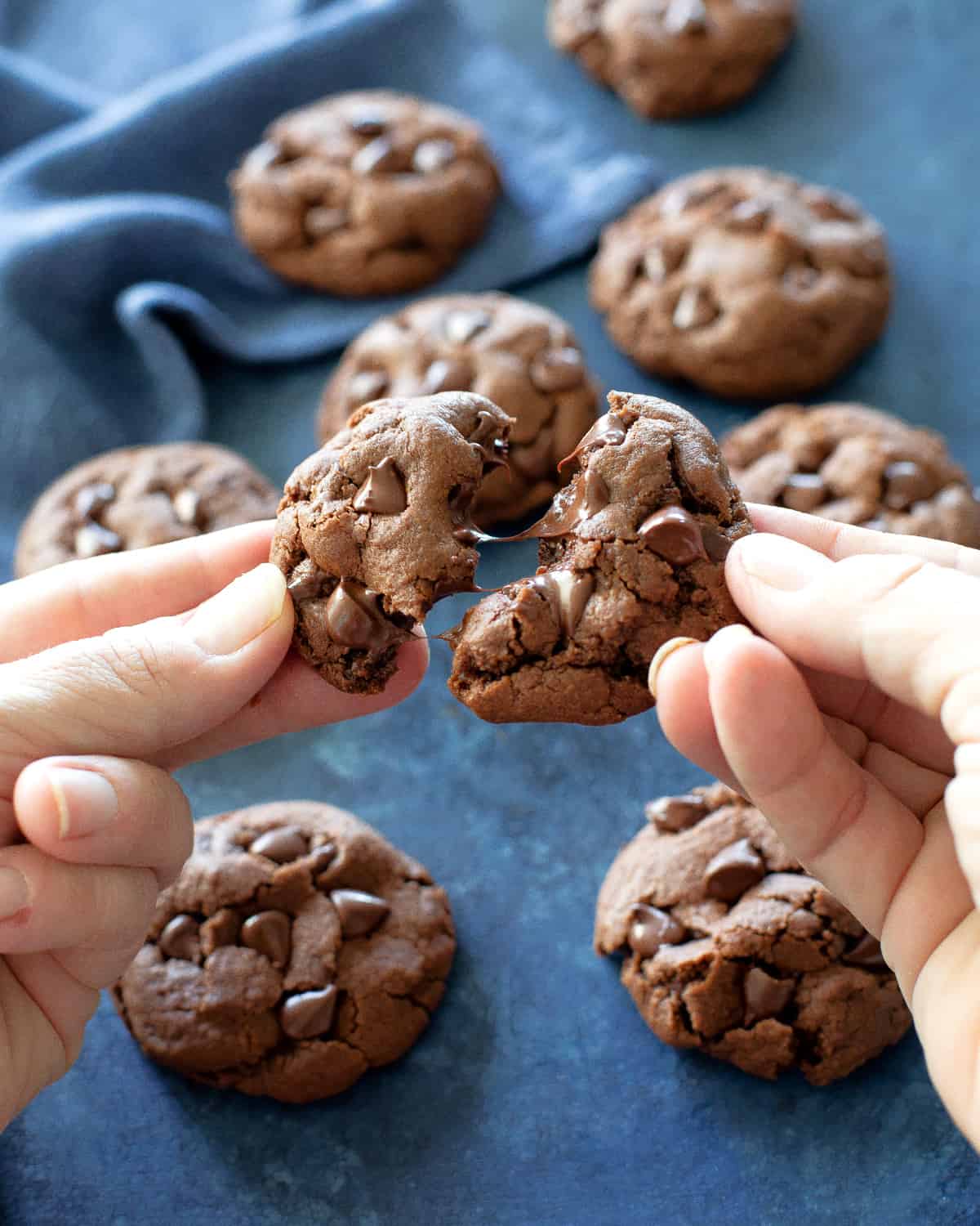 chocolate cookie broken in half