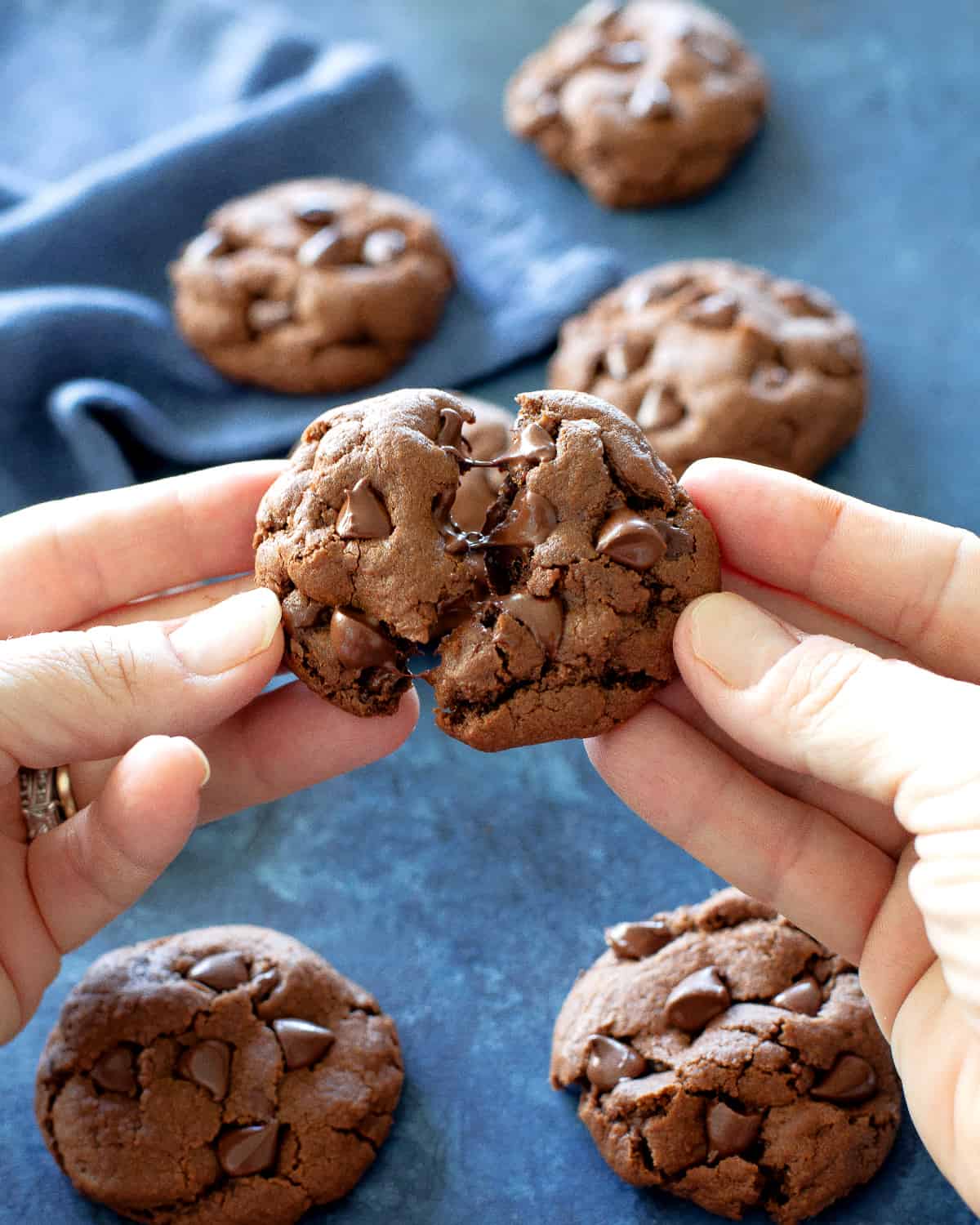Chocolate Peanut Butter Cookies