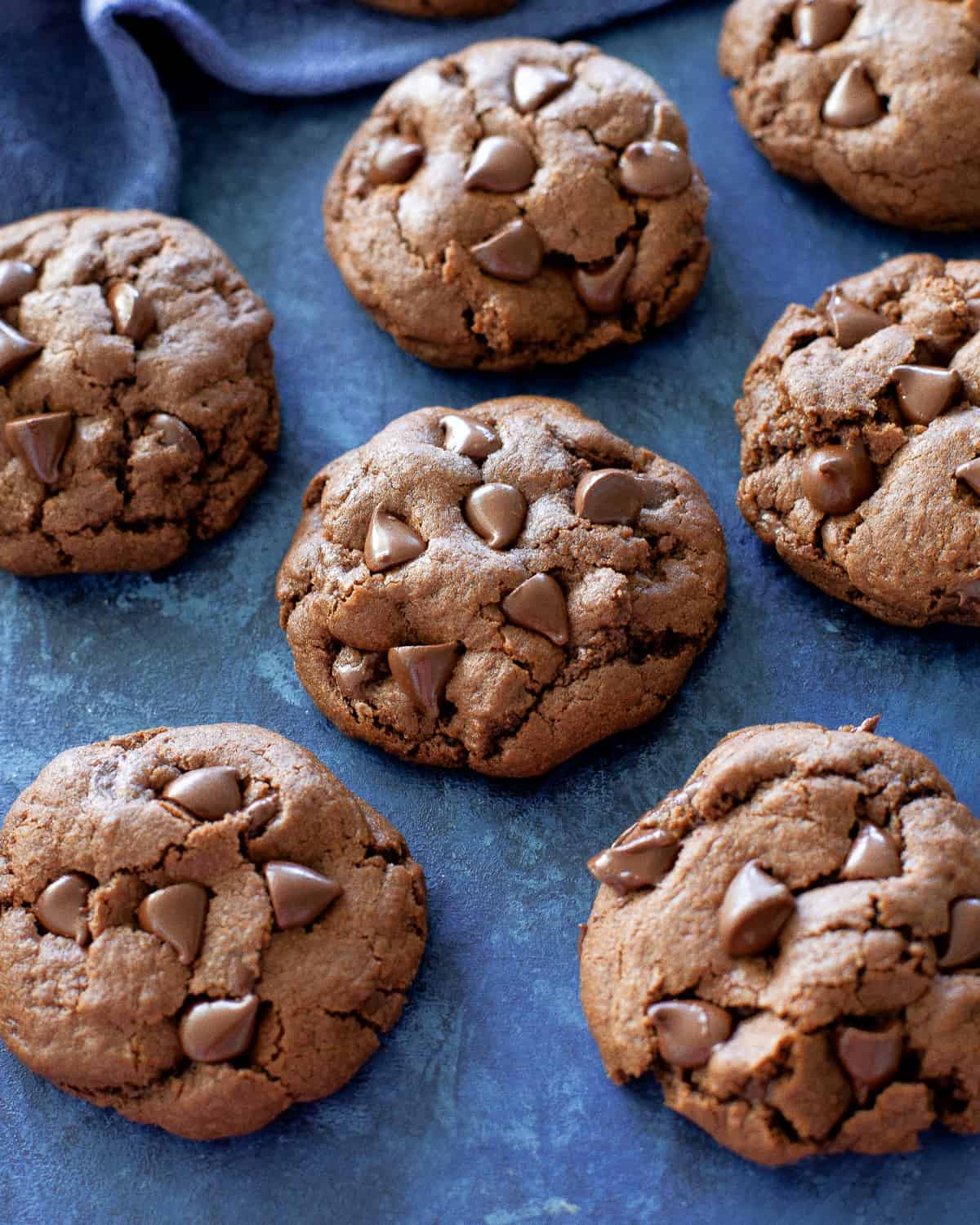 Chocolate Peanut Butter Cookies