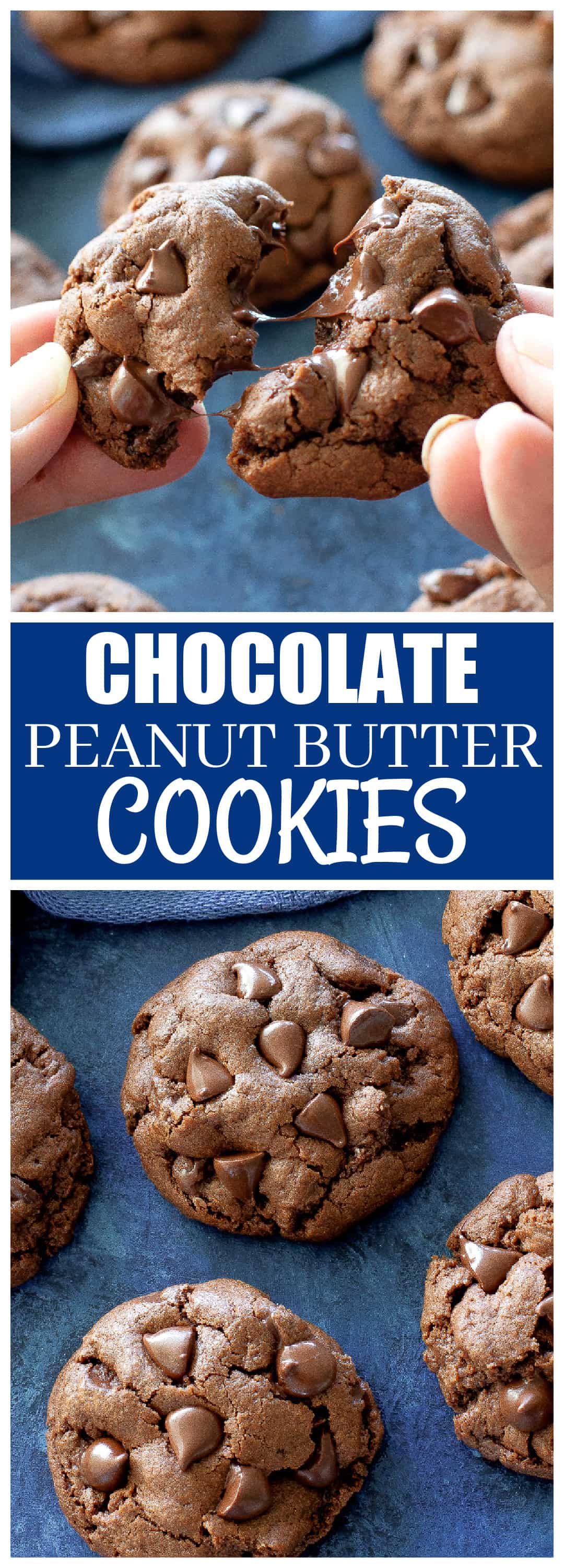 Chocolate Peanut Butter Cookies