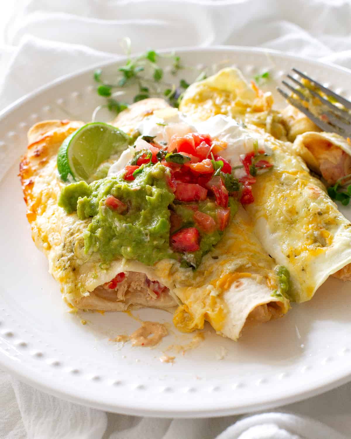 Cream Cheese Chicken Enchiladas