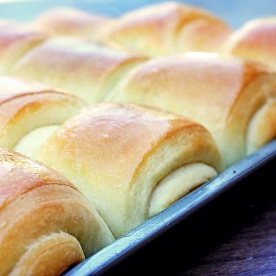 lion-house-rolls-warm-1