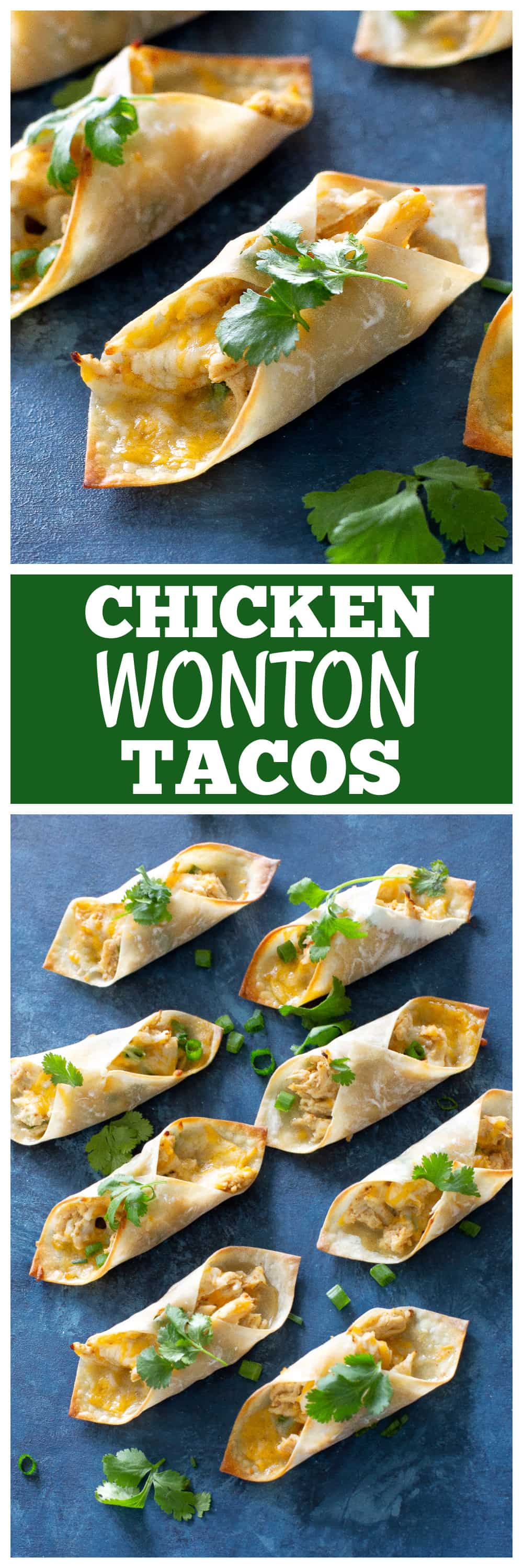 Chicken Wonton Tacos