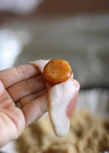 water-chestnut