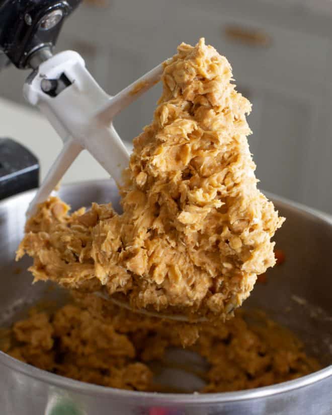 pumpkin oatmeal scotchie cookie dough