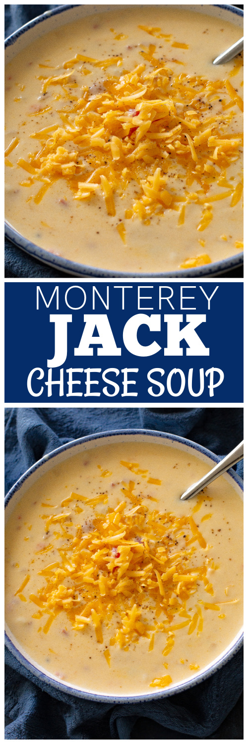 monterey jack cheese soup