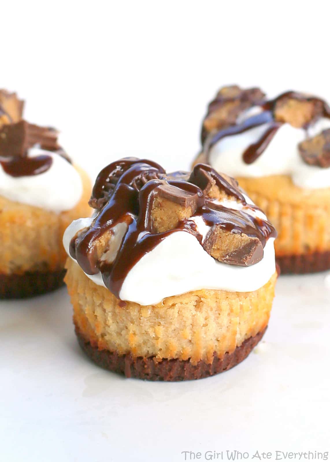Reese's Peanut Butter Mini Cheesecakes | The Girl Who Ate Everything