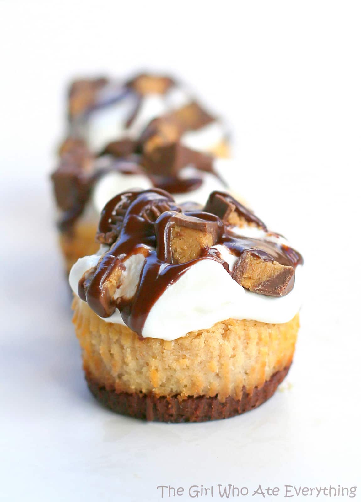 Reese's Peanut Butter Mini Cheesecakes | The Girl Who Ate Everything