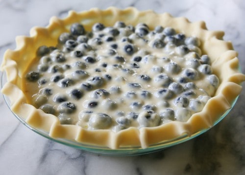 Blueberry Custard Pie - A creamy blueberry custard topped with a sweet streusel. the-girl-who-ate-everything.com