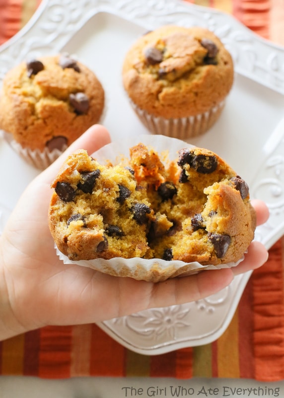 These Pumpkin Chocolate Chip Muffins are moist pumpkin spiced treats dotted with chocolate chips. This is the only pumpkin chocolate chip muffin recipe you will ever need. the-girl-who-ate-everything.com