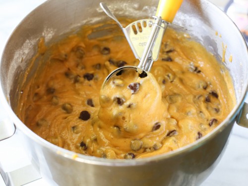 Pumpkin Chocolate Chip Muffins | The Girl Who Ate Everything