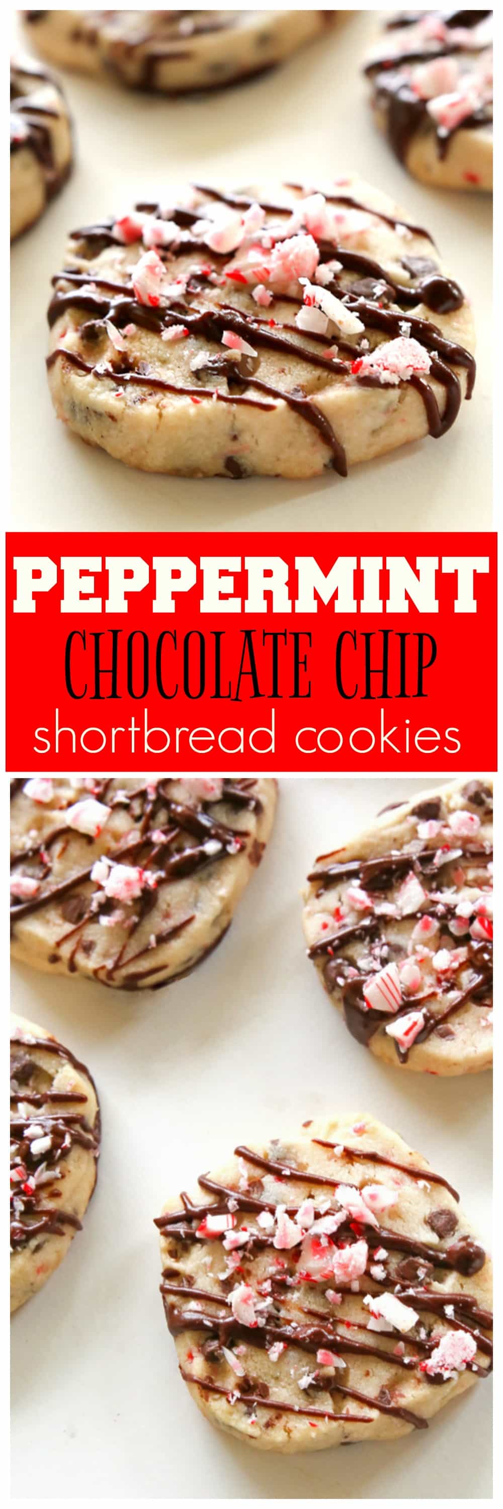 Peppermint Chocolate Chip Shortbread Cookies - a buttery cookie with mini chocolate chips and candy canes. the-girl-who-ate-everything.com