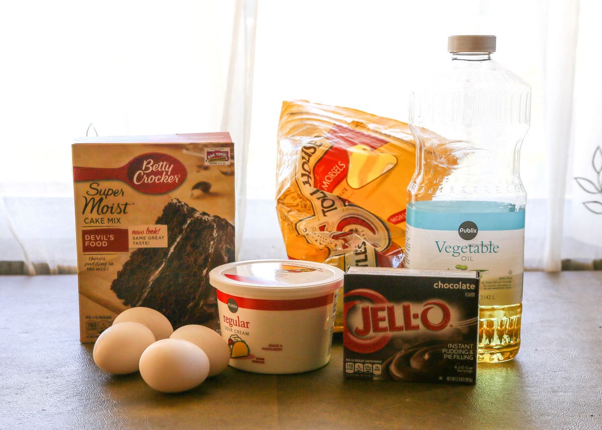 Sinfully Delicious and Easy Chocolate Bundt Cake - the-girl-who-ate-everything.com