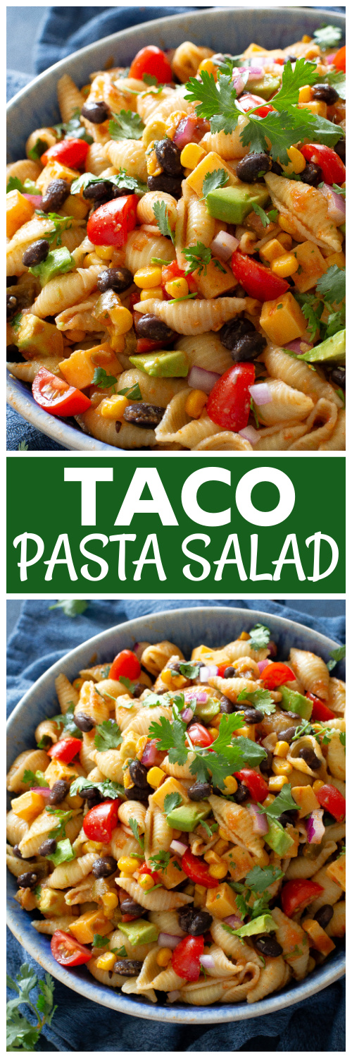 taco pasta salad