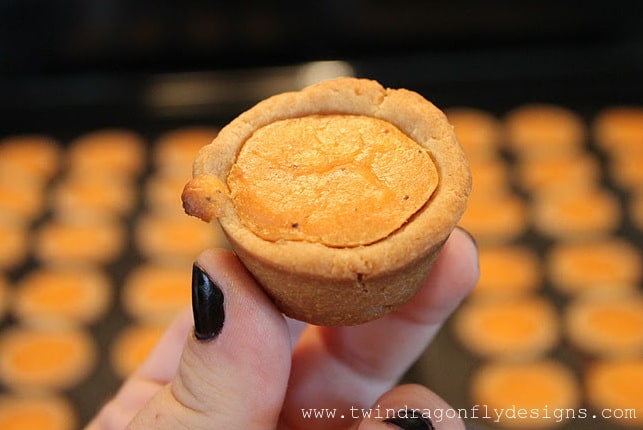 pumpkin-mini pumpkin pie - dragonfly designs