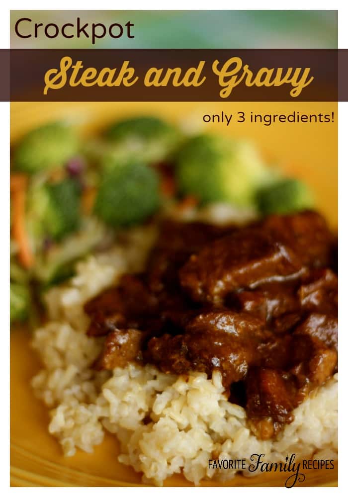 Crockpot Steak and Gravy - Weekly Menu Plan #18