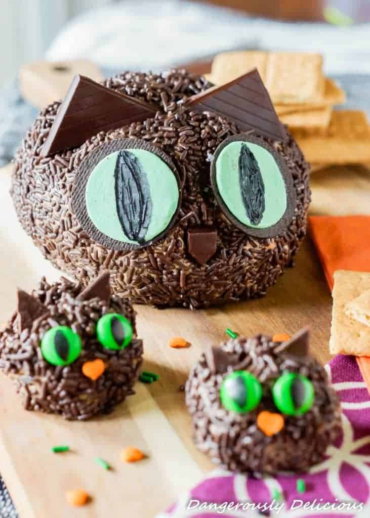 Black Cat S'mores Cheeseball - so cute and perfect for Halloween! the-girl-who-ate-everything.com