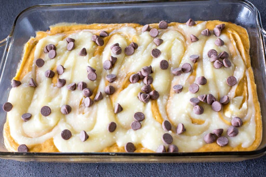 pumpkin batter with chocolate chips
