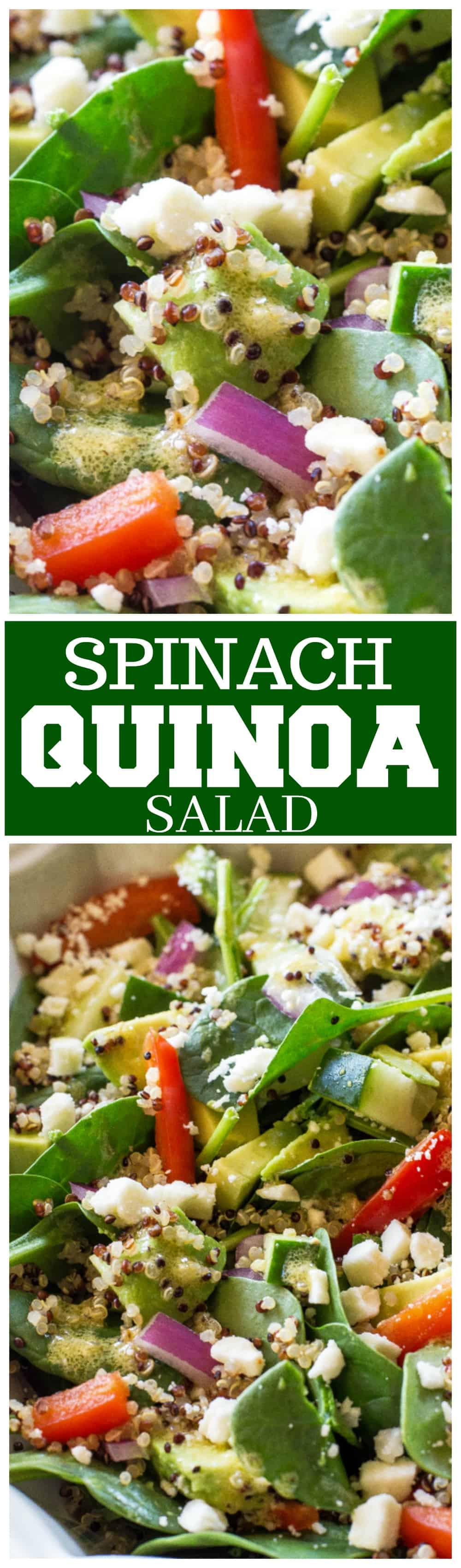 Spinach Quinoa Salad - full of rich healthy foods like cucumber, red bell pepper, avocado, and onion. This recipe is topped with a lemon dijon vinaigrette. #healthy #spinach #quinoa #salad #recipe
