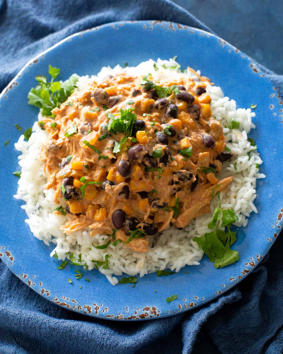 Fiesta Chicken
