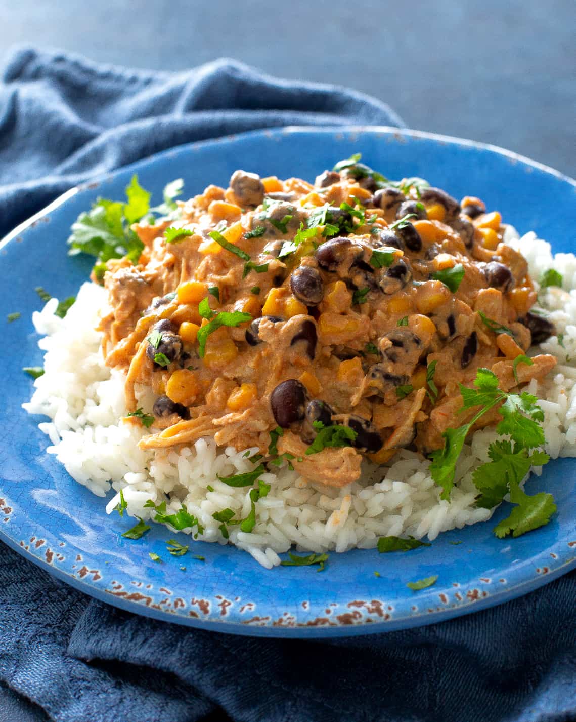Fiesta Chicken