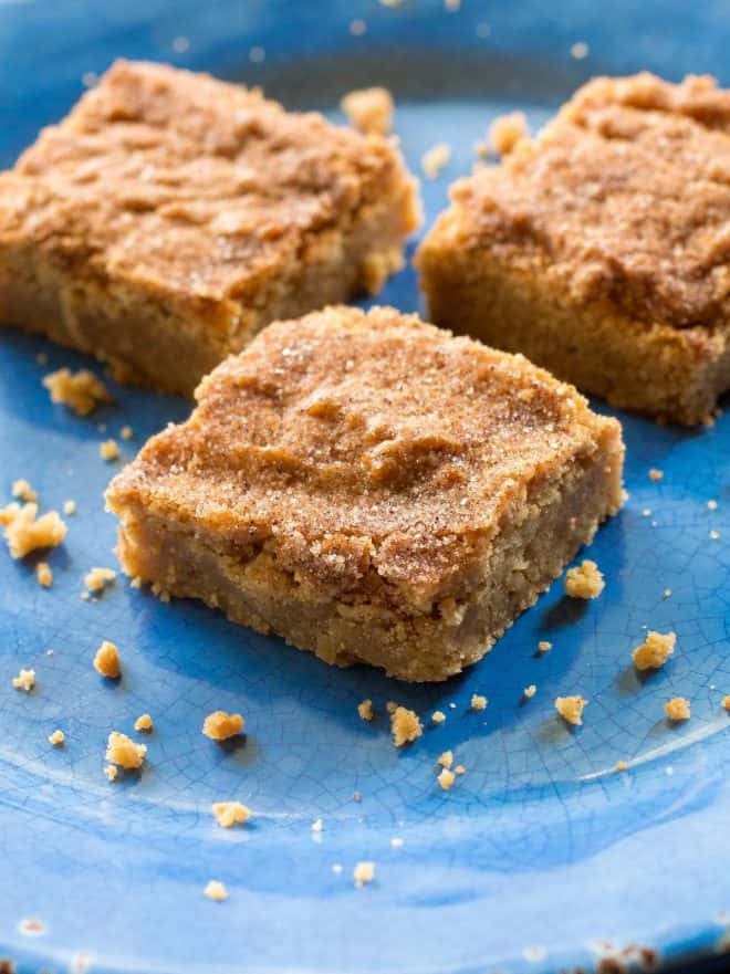 Snickerdoodle Blondies