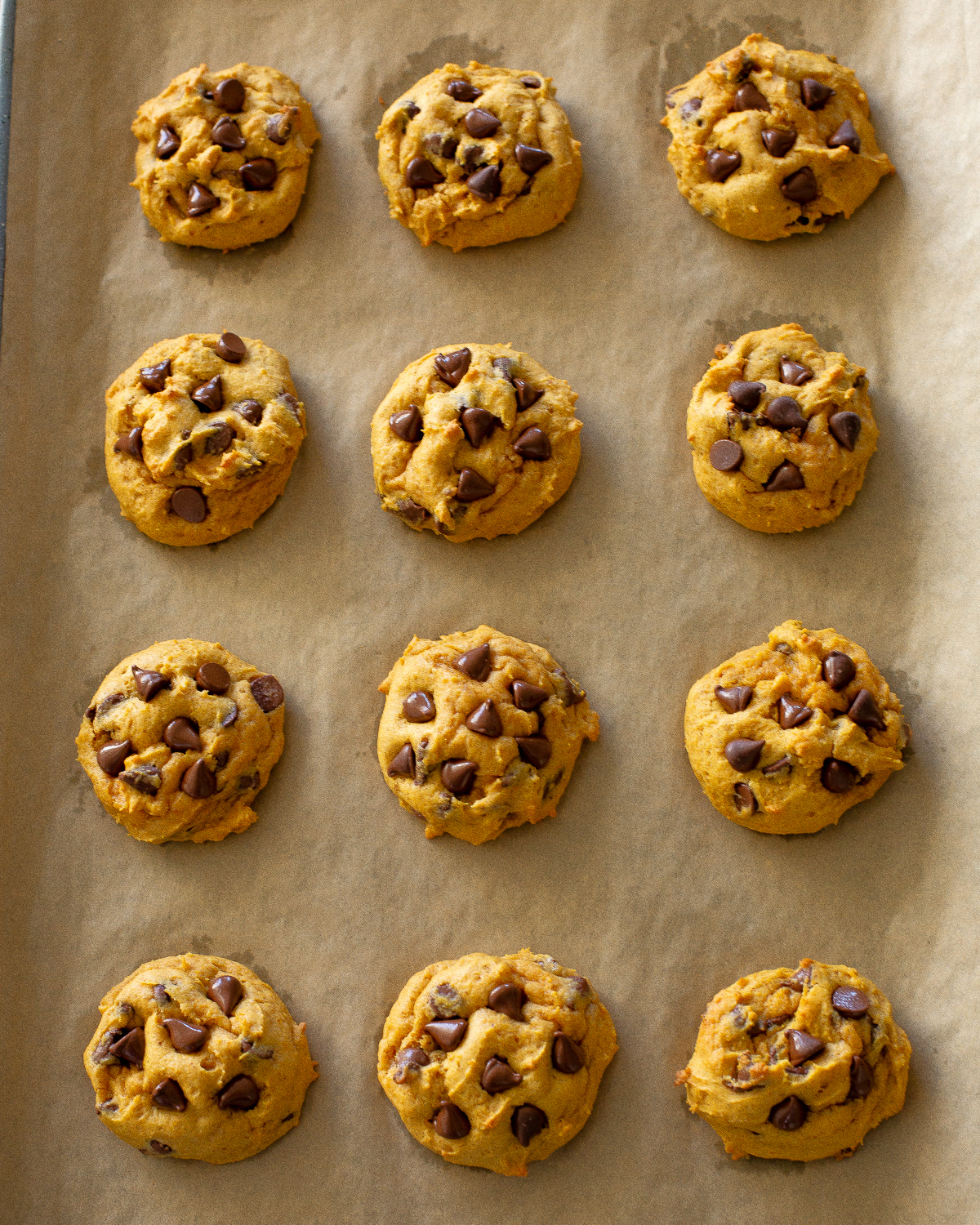 Pumpkin Chocolate Chip Cookies