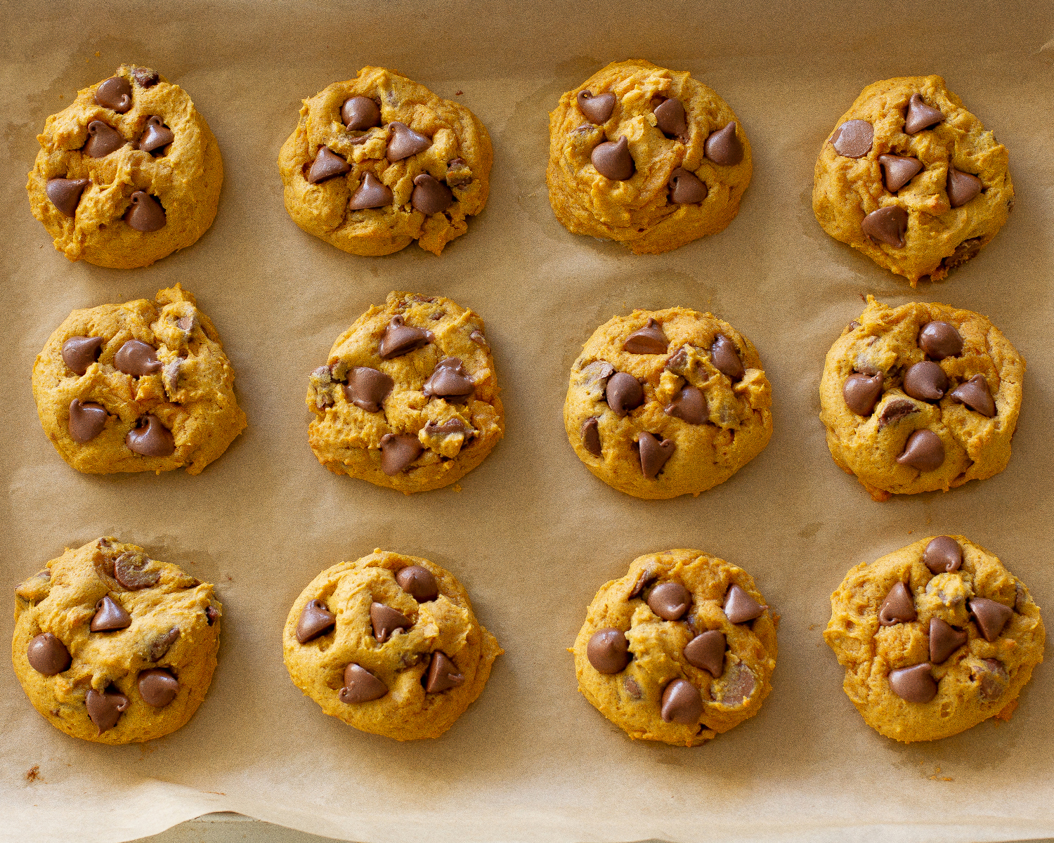 Pumpkin Chocolate Chip Cookies 