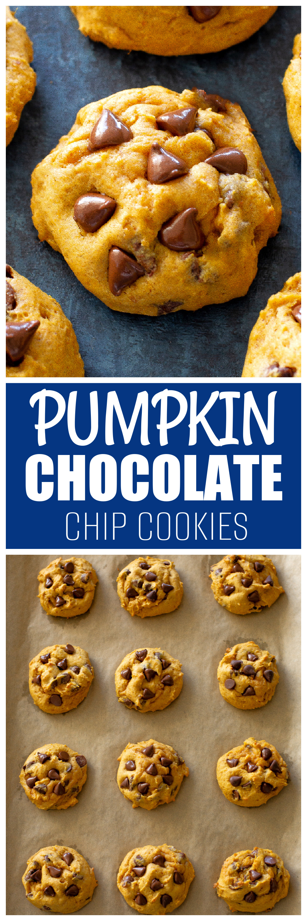 Pumpkin Chocolate Chip Cookies 