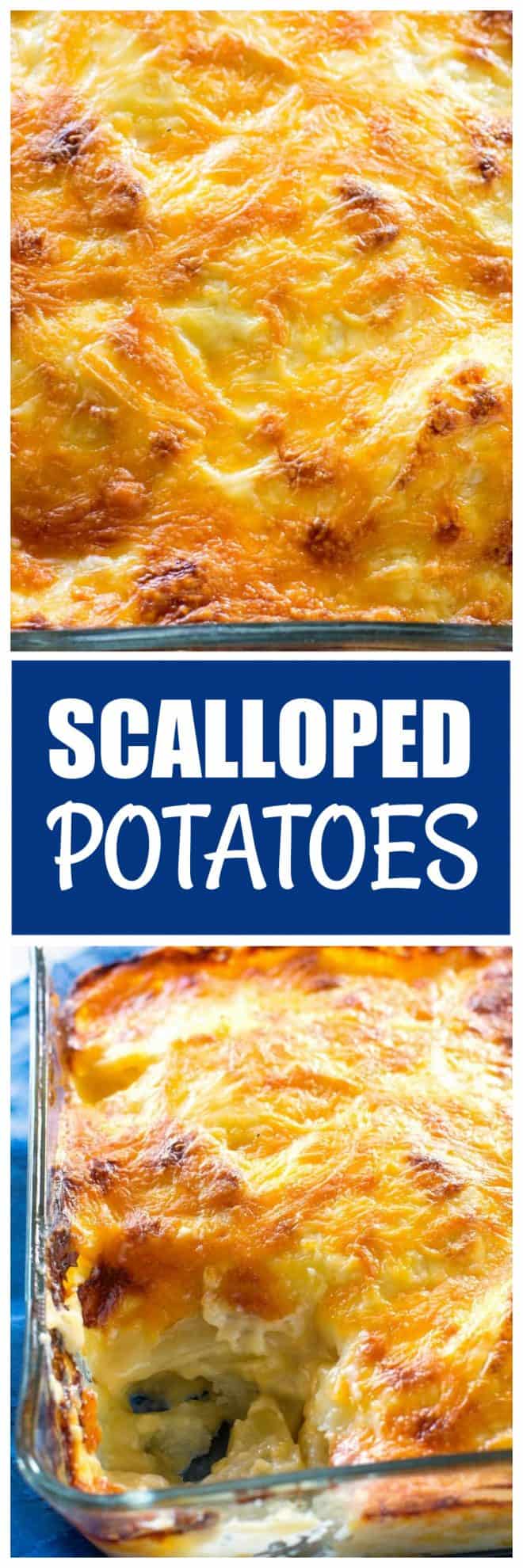 scalloped potatoes
