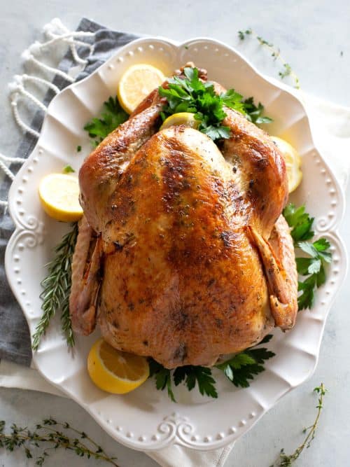 Thanksgiving turkey