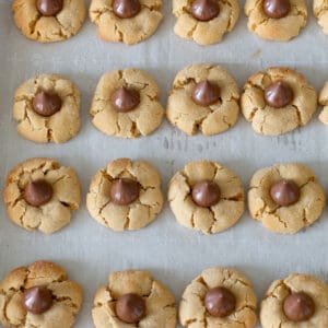 peanut butter blossoms