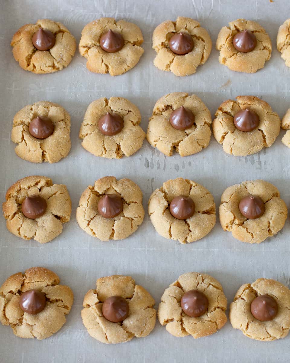 peanut butter blossoms
