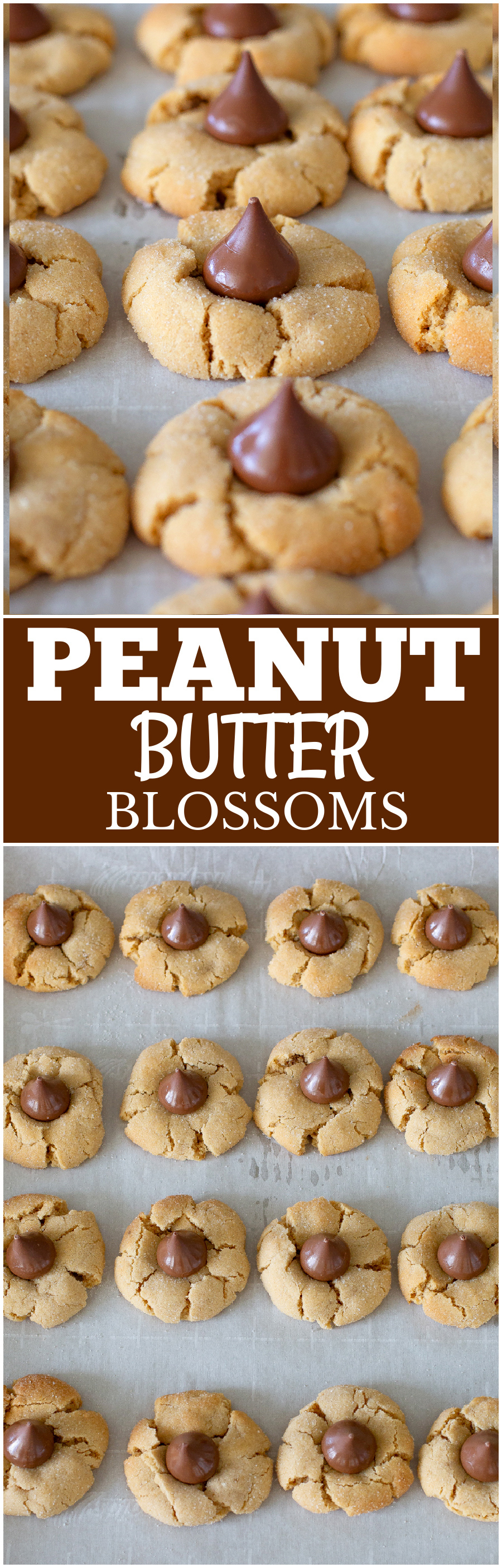 Peanut Butter Blossoms