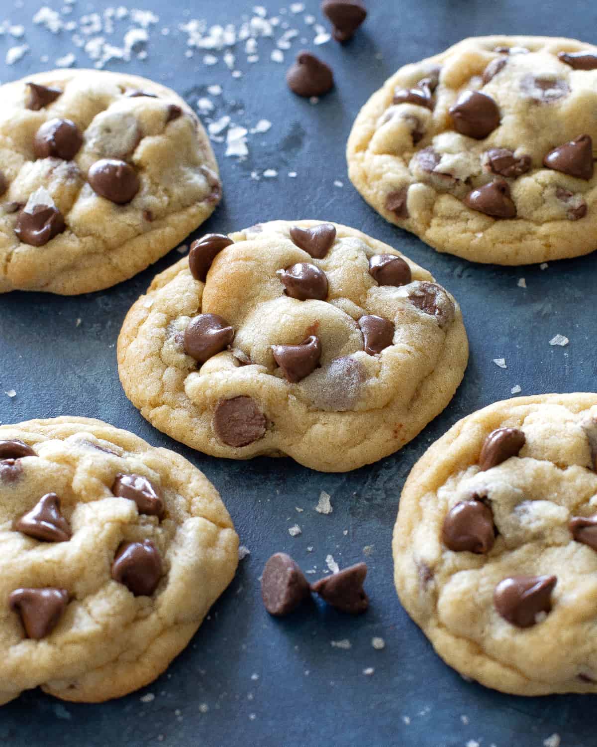 chocolate chip cookie